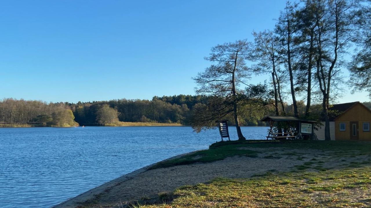 Ferienhaus Tiny House Mit Sauna Am *
